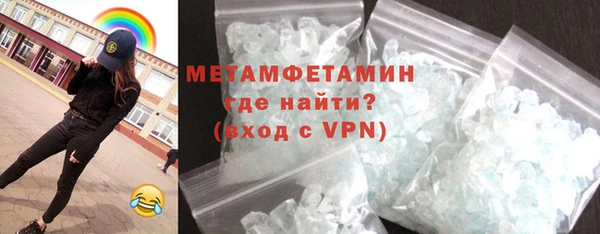 индика Вяземский