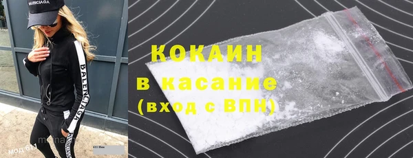 индика Вяземский