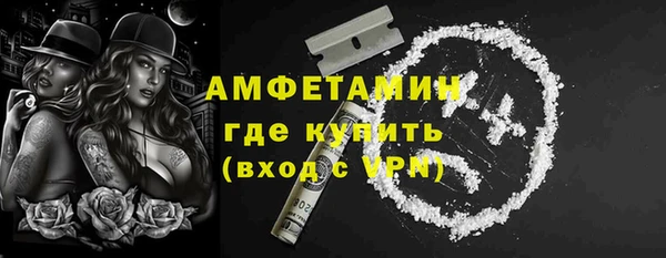 индика Вяземский