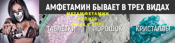 индика Вяземский