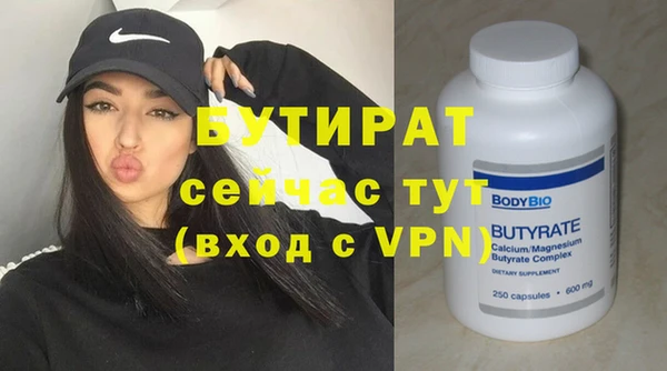 индика Вяземский