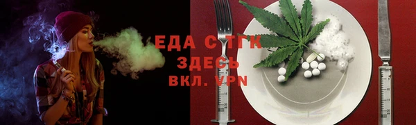 индика Вяземский