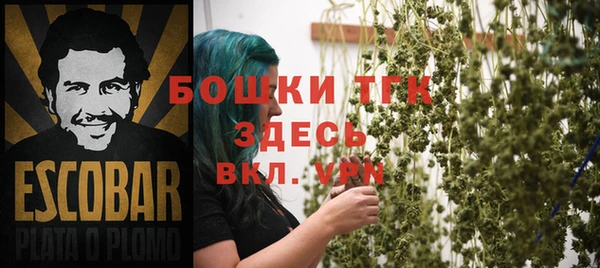 индика Вяземский