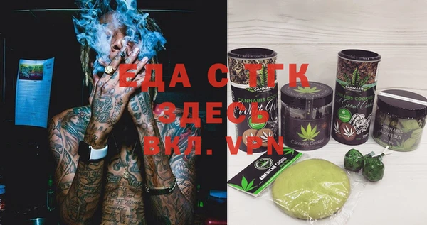 индика Вяземский