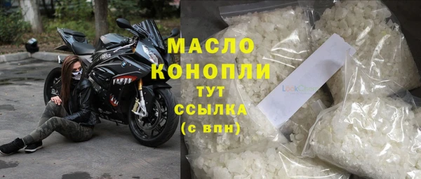 индика Вяземский