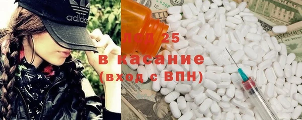 индика Вяземский
