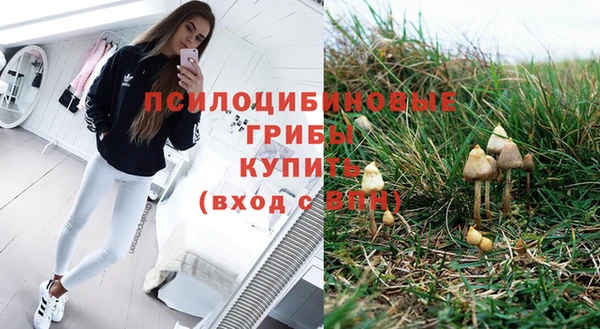 ешки Вязьма