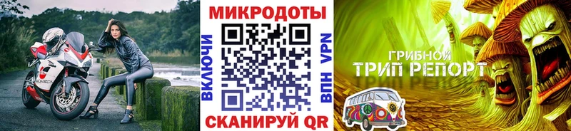Купить  Печора  Псилоцибиновые грибы мицелий 