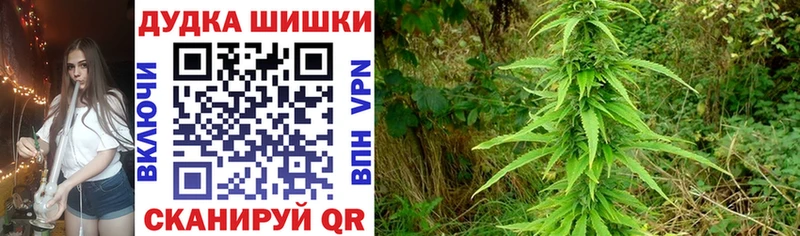 Конопля VHQ  Купить  Печора 